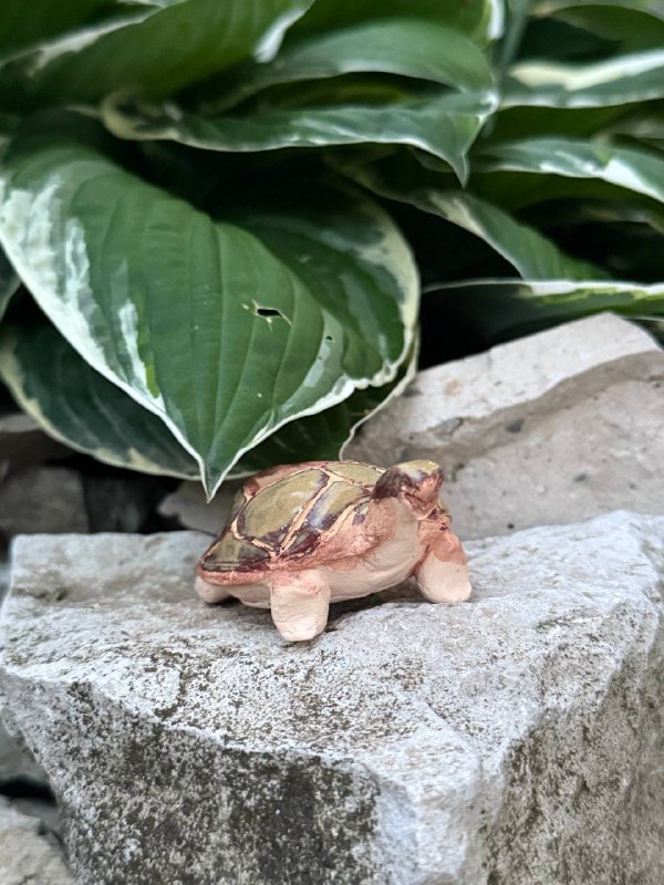 Черепашка «Voyager 2.0»