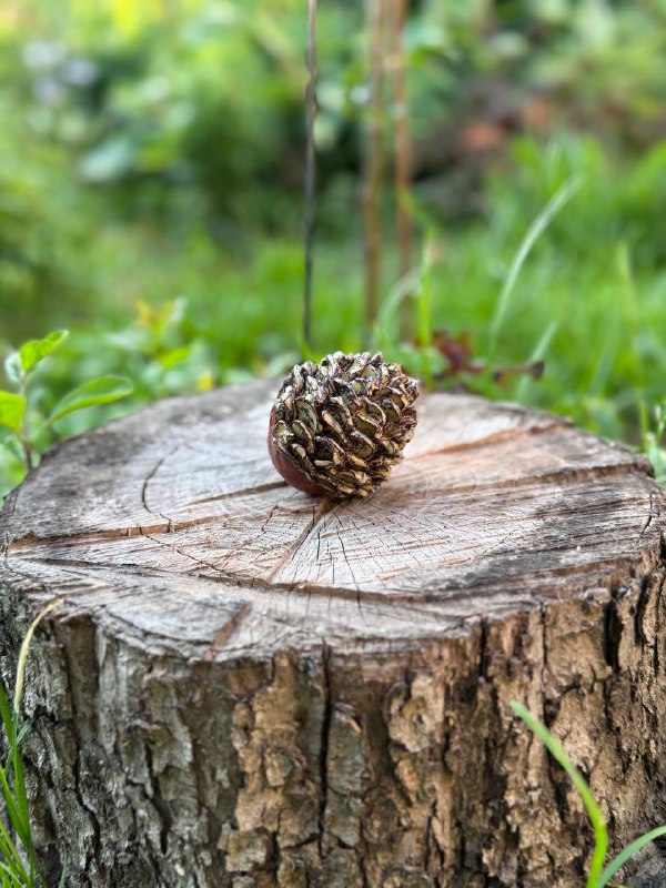 Фигурка «Pinecone»