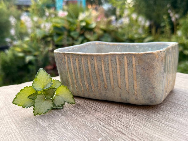 Миска для рамена «Daisy»