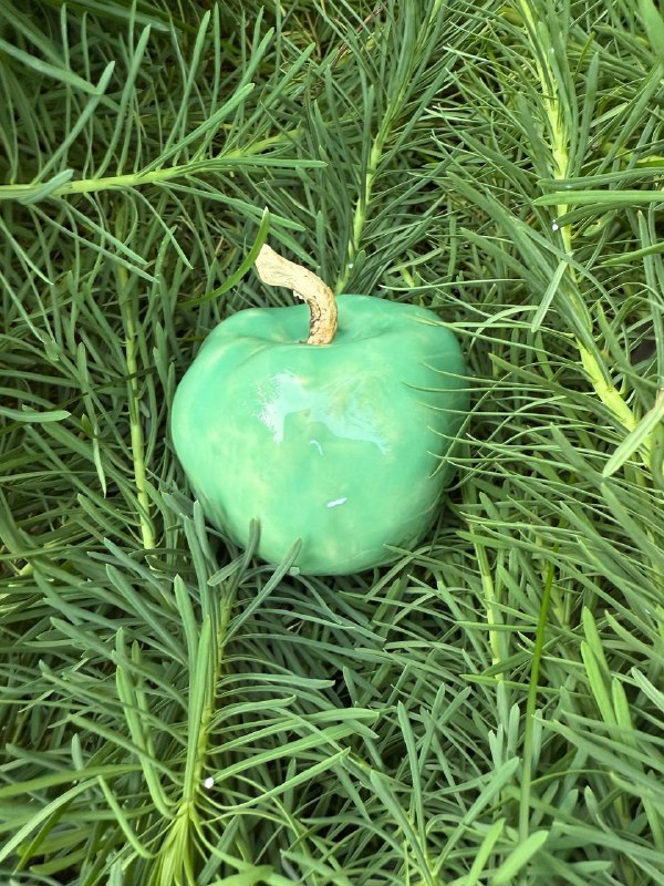 Яблочко «Pomme verte»